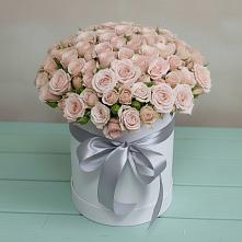 Цветочная композиция из Розы в шляпной коробке #REPLACE_PRED# Сковородино