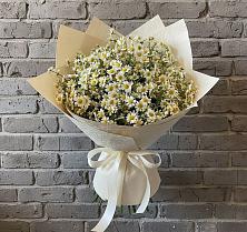 Букет цветов из:  Ромашки #REPLACE_PRED# Сковородино