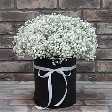 Цветочная композиция из Гипсофила в шляпной коробке #REPLACE_PRED# Сковородино