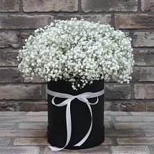 Цветочная композиция из Гипсофила в шляпной коробке в Сковородино